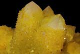 Sunshine Cactus Quartz Crystal - South Africa #96267-3